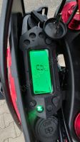Pitbike MRM XT99 300ccm, světlo, el startér, sedlo92cm, červená (8)