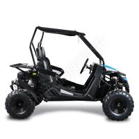 Dětská Buggy Cheetah4Kids 2, 208ccm, věk jezdce 10+ modrá (4)