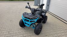 Dětská čtyřtaktní čtyřkolka ATV MiniRocket Troodon Deluxe 125ccm, 3+1, 8 kola, černo-modrá (1)