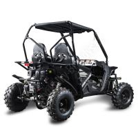 Dětská Buggy Cheetah4Kids 2, 208ccm, věk jezdce 10+ červená (5)