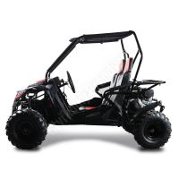 Dětská Buggy Cheetah4Kids 2, 208ccm, věk jezdce 10+ červená (3)