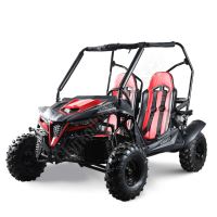Dětská Buggy Cheetah4Kids 2, 208ccm, věk jezdce 10+ červená (2)