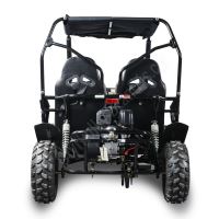 Dětská Buggy Cheetah4Kids 2, 208ccm, věk jezdce 10+ červená (7)