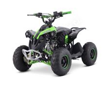 Dětská čtyřtaktní čtyřkolka ATV Renegade 125ccm, 1 rych. poloautomat, zelená
