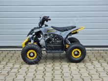 Dětská čtyřtaktní čtyřkolka ATV MiniRaptor 110ccm, 4T, hydraulická brzda, 1+1, šedá (15)