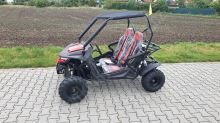 Dětská Buggy Cheetah4Kids 2, 208ccm, věk jezdce 10+ červená (23)