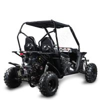 Dětská Buggy Cheetah4Kids 2, 208ccm, věk jezdce 10+ modrá (3)