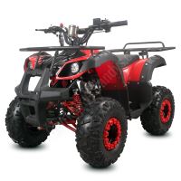 Dětská čtyřtaktní čtyřkolka ATV Toronto 125ccm, 1 rych. poloautomat, 7 kola, červená