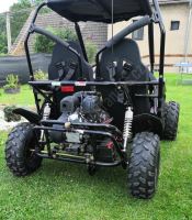 Dětská Buggy Cheetah4Kids 2, 208ccm, věk jezdce 10+ modrá (9)