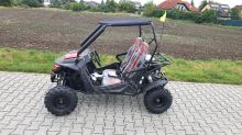 Dětská Buggy Cheetah4Kids 2, 208ccm, věk jezdce 10+ červená (24)