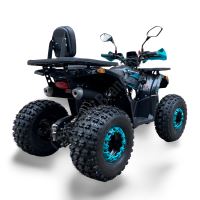 Dětská čtyřtaktní čtyřkolka ATV Hunter II 125ccm, 3 rych. poloautomat 8 kola, modrá (4)