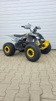 Dětská čtyřtaktní čtyřkolka MiniRocket Raptor 150ccm 3+1, 8 kola (4)