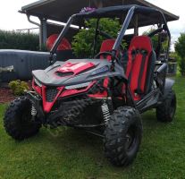 Dětská Buggy Cheetah4Kids 2, 208ccm, věk jezdce 10+ červená (14)