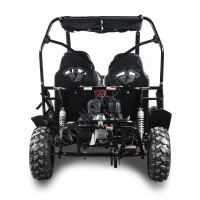 Dětská Buggy Cheetah4Kids 2, 208ccm, věk jezdce 10+ modrá (5)
