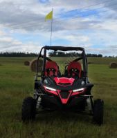 Dětská Buggy Cheetah4Kids 2, 208ccm, věk jezdce 10+ červená (18)