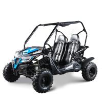 Dětská Buggy Cheetah4Kids 2, 208ccm, věk jezdce 10+ modrá (1)