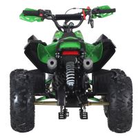 Dětská čtyřtaktní čtyřkolka ATV Speedy 125ccm, 1 rych. poloautomat, 7 kola, zelená (12)