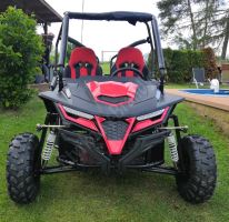 Dětská Buggy Cheetah4Kids 2, 208ccm, věk jezdce 10+ červená (13)