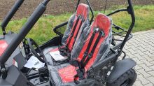 Dětská Buggy Cheetah4Kids 2, 208ccm, věk jezdce 10+ červená (26)