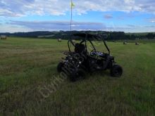 Dětská Buggy Cheetah4Kids 2, 208ccm, věk jezdce 10+ červená (19)