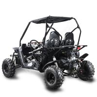 Dětská Buggy Cheetah4Kids 2, 208ccm, věk jezdce 10+ modrá (6)